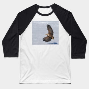 White tailed eagle with beautiful wings Baseball T-Shirt